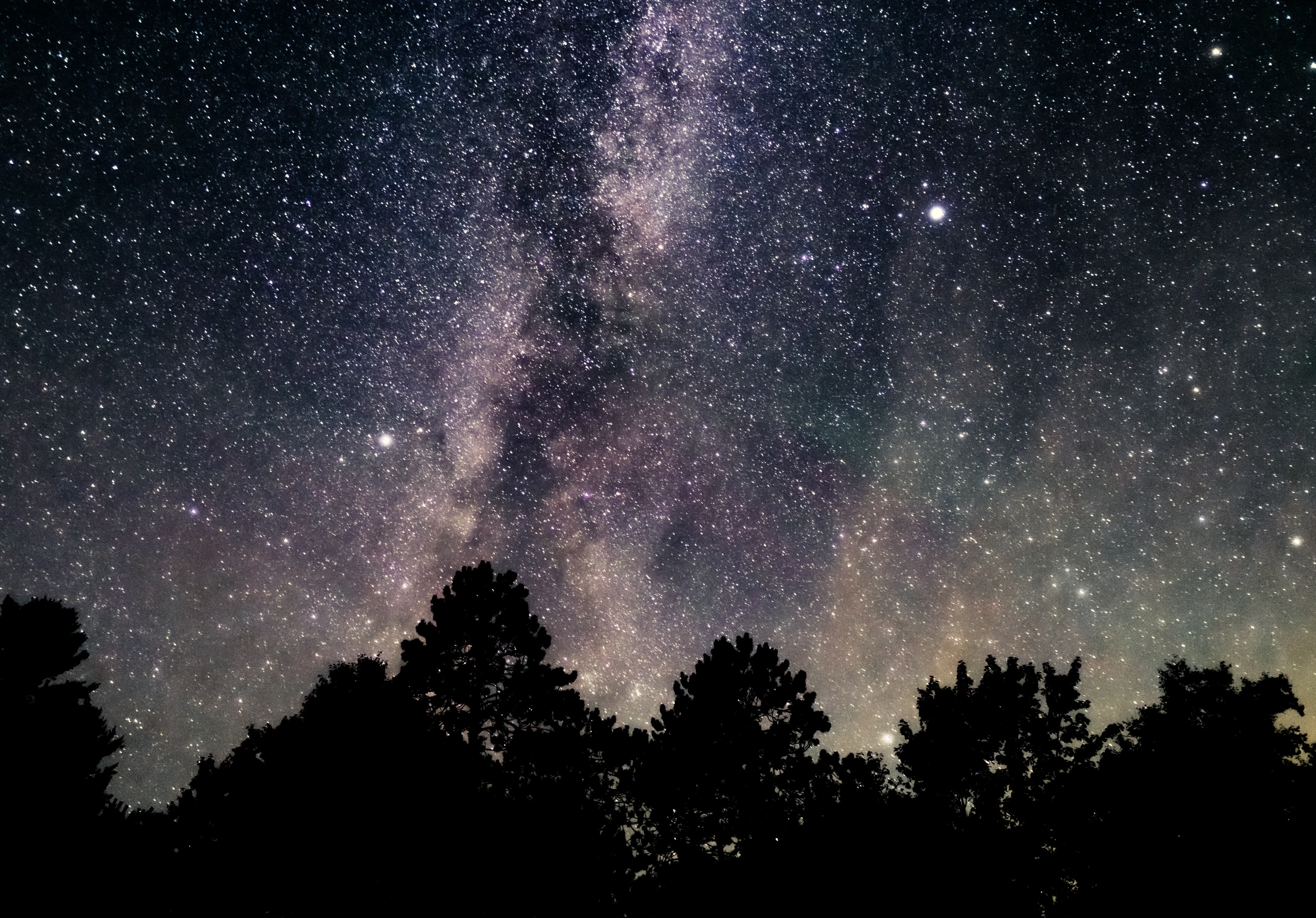 Photography by Jacob Goldfarb