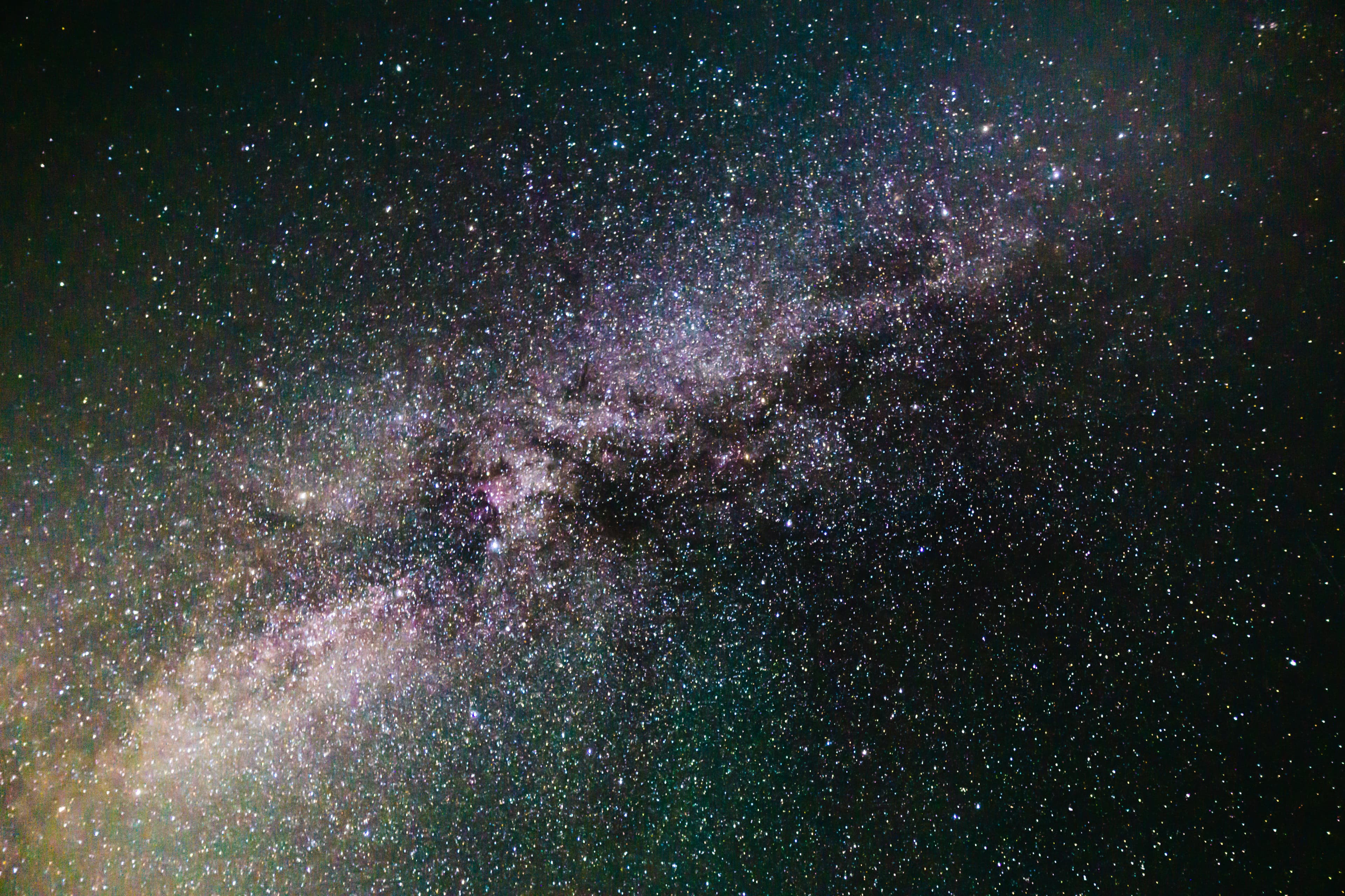 Photography by Jacob Goldfarb